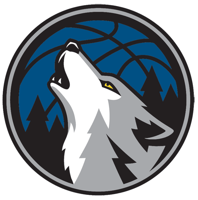 Minnesota Timberwolves 2008-2017 Alternate Logo t shirts DIY iron ons v2